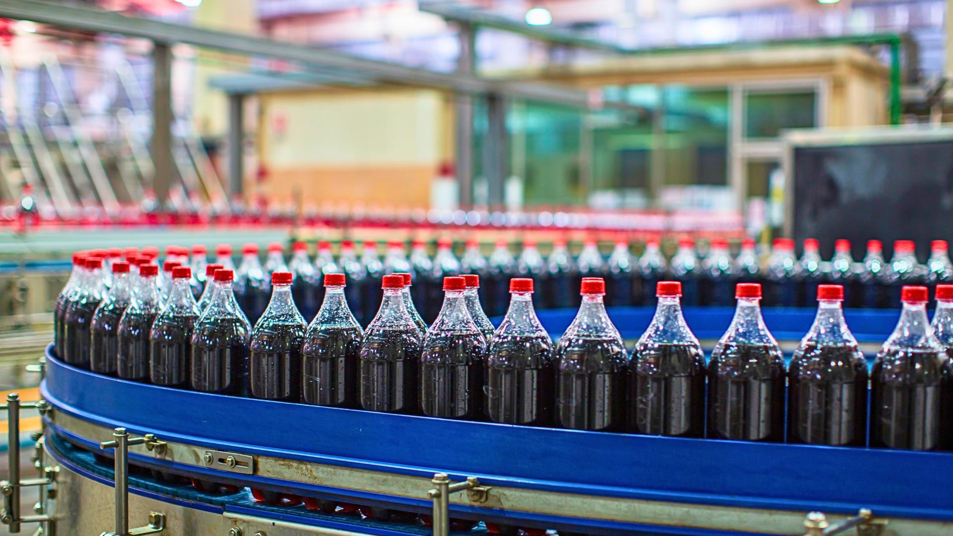 FMCG & Food Processing industry